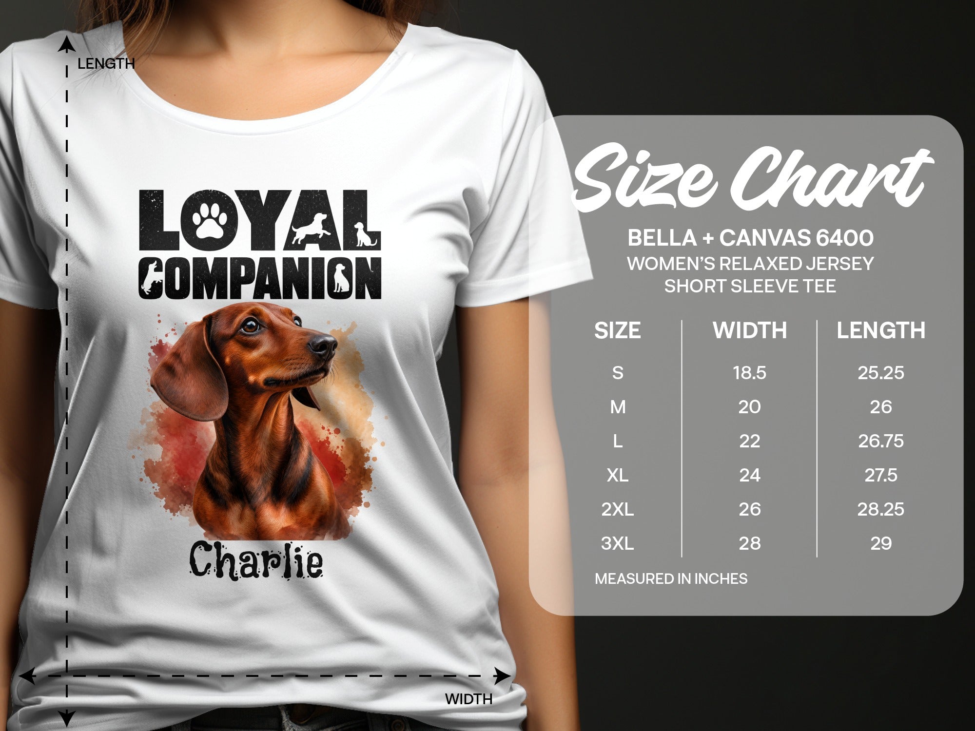 Bella+Canvas 6400 women's tee featuring "Loyal Companion" and dachshund image. Includes size chart.
