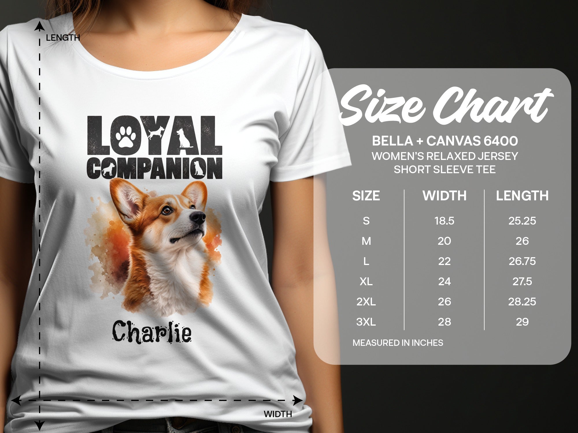 White t-shirt with a corgi graphic and "Loyal Companion" text, with a size chart.